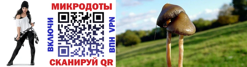 Галлюциногенные грибы прущие грибы  Алдан 
